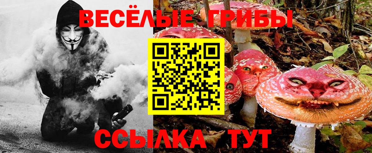 Галлюциногенные грибы MAGIC MUSHROOMS Артёмовский