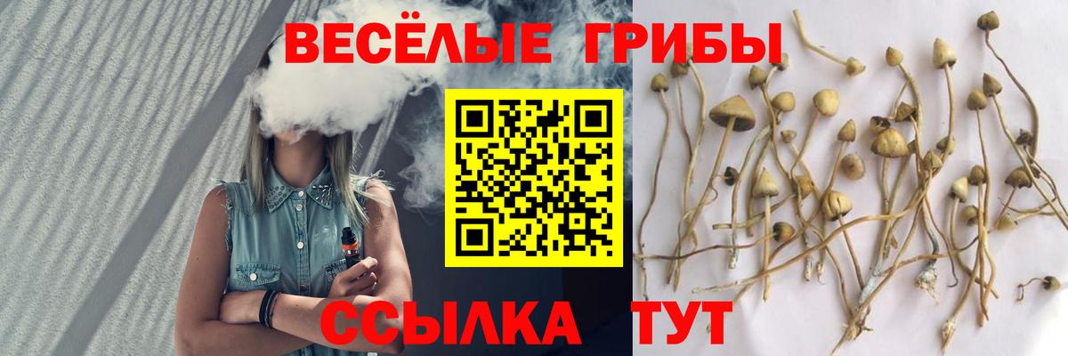 что такое   Псилоцибиновые грибы MAGIC MUSHROOMS  Вход с VPN  Артёмовский  Галлюциногенные грибы мухоморы 
